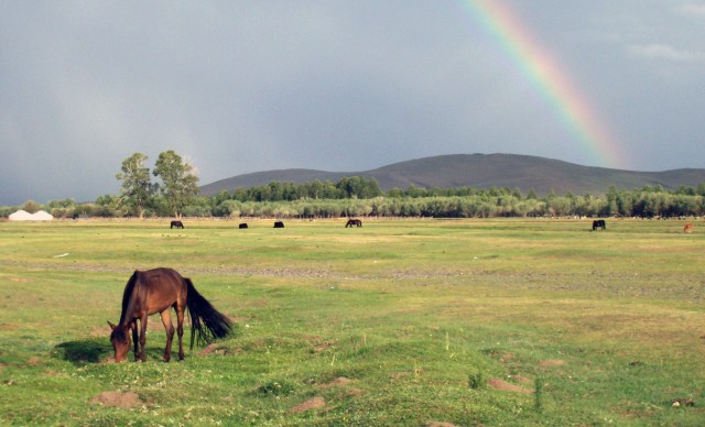 rainbow-horse-mongolia.jpg